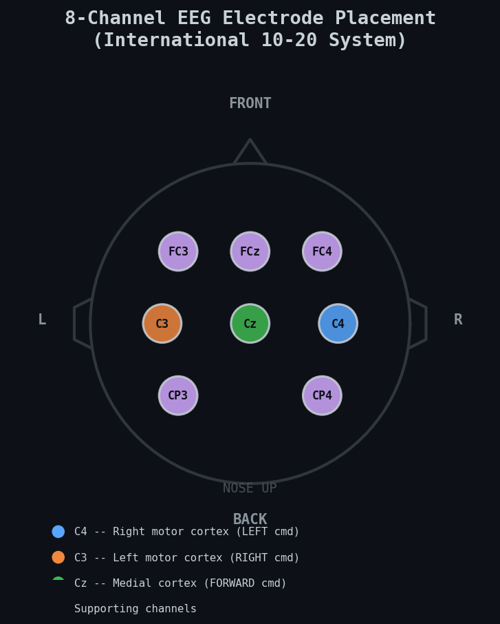 EEG Channel Placement